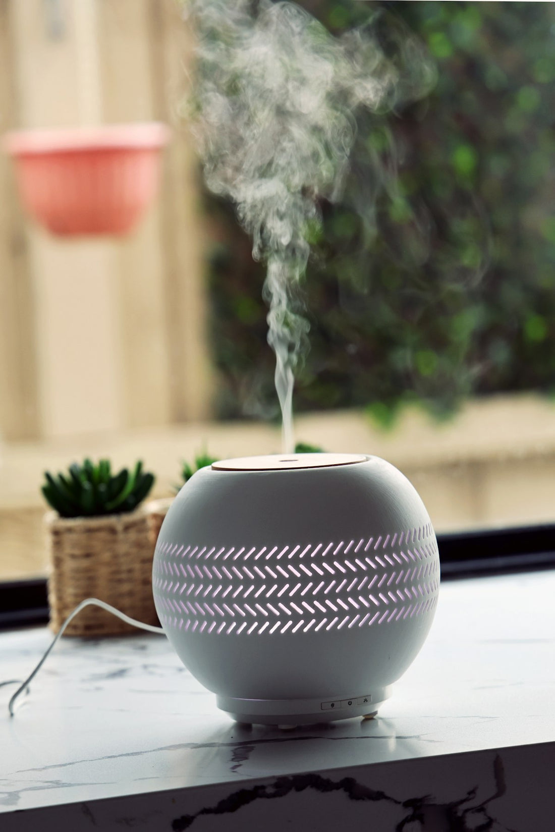 Portable humidifier positioned near a potted houseplant