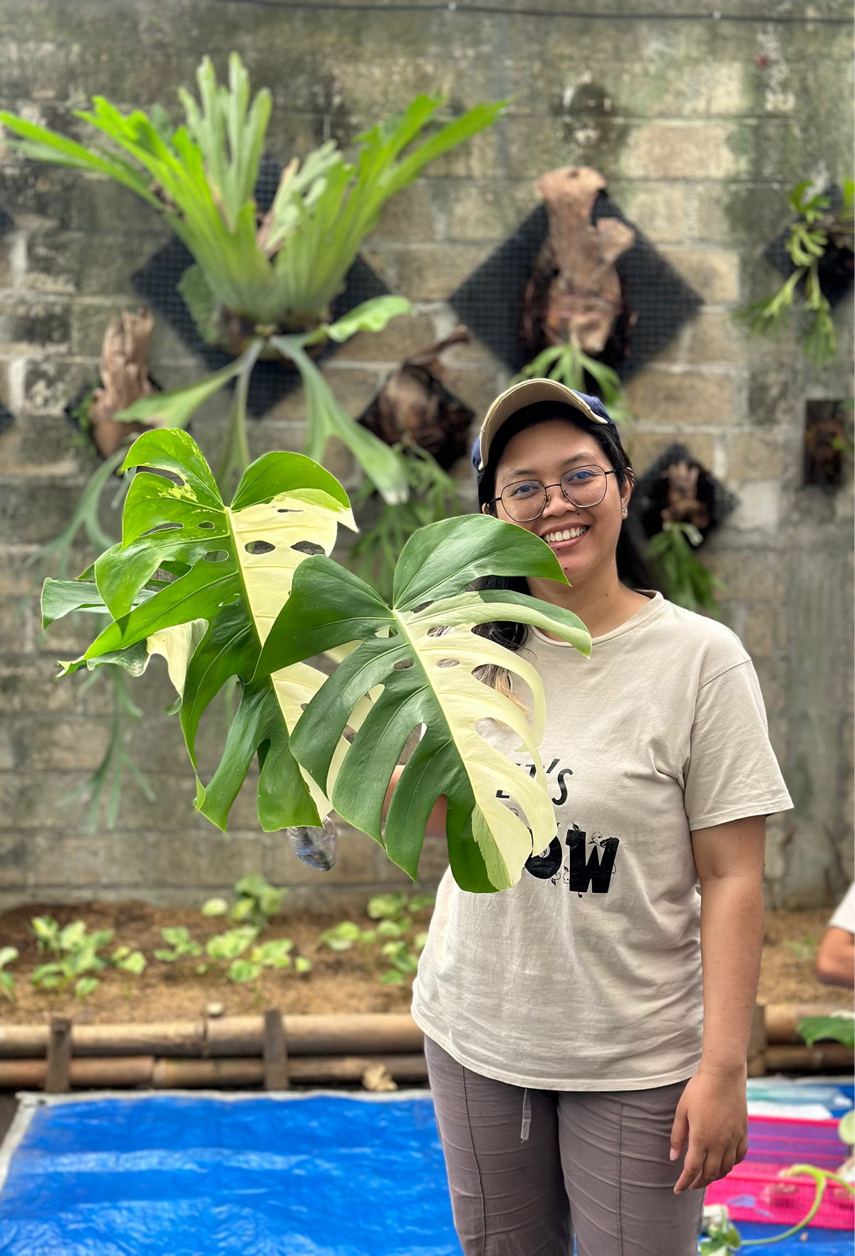 Your Connection to Indonesia’s Tropical Plants